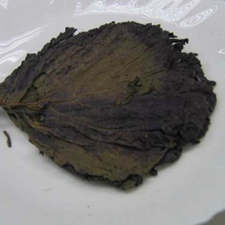 Perilla leaf